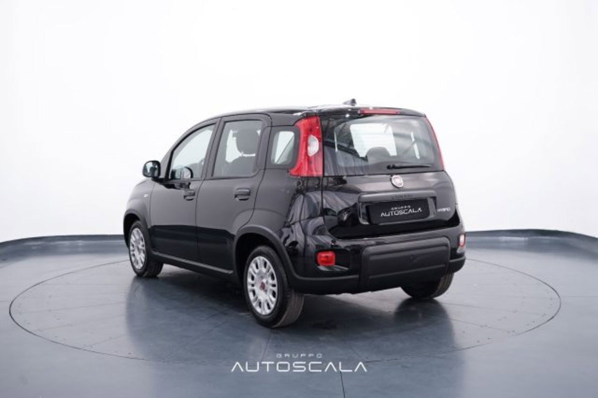 Fiat Panda 1.0 firefly hybrid s&s 70cv 5p.ti (4)