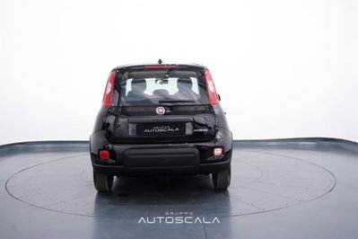 Fiat Panda 1.0 firefly hybrid s&s 70cv 5p.ti (5)