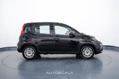 Fiat Panda 1.0 firefly hybrid s&s 70cv 5p.ti (7)