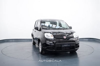 Fiat Panda 1.0 firefly hybrid s&s 70cv 5p.ti (8)