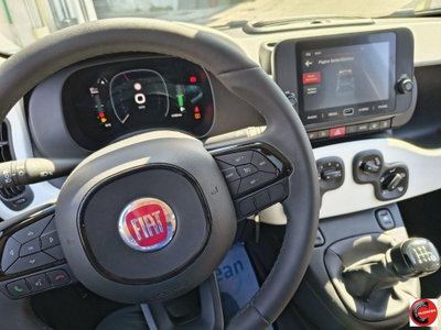 Fiat Panda Cross Cross 1.0 FireFly S&S Hybrid (15)