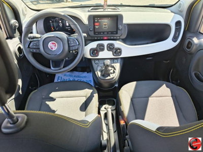 Fiat Panda Cross Cross 1.0 FireFly S&S Hybrid (5)