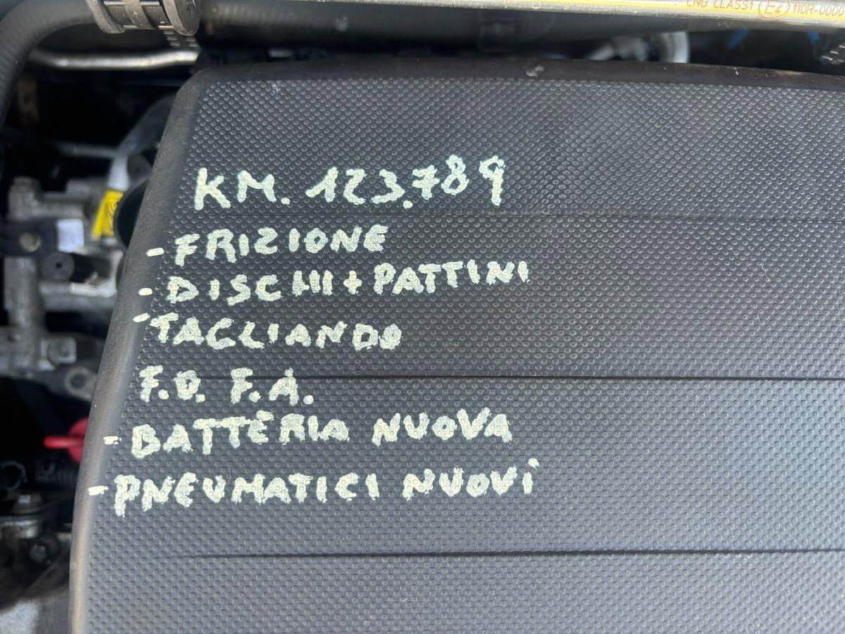 Fiat Panda 1.2 Climbing Natural Power (16)