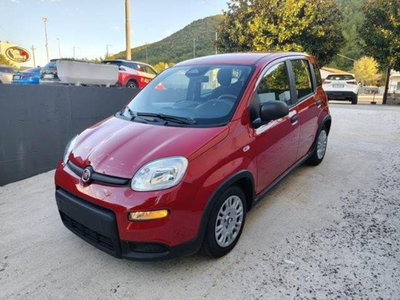 Fiat Panda 1.0 firefly hybrid Pop s&s 70cv usata