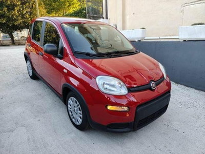 Fiat Panda 1.0 firefly hybrid Pop s&s 70cv (12)