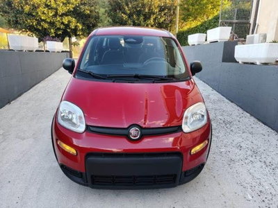 Fiat Panda 1.0 firefly hybrid Pop s&s 70cv (14)