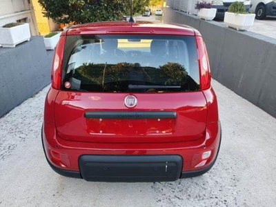 Fiat Panda 1.0 firefly hybrid Pop s&s 70cv (15)