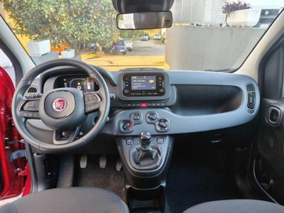 Fiat Panda 1.0 firefly hybrid Pop s&s 70cv (3)