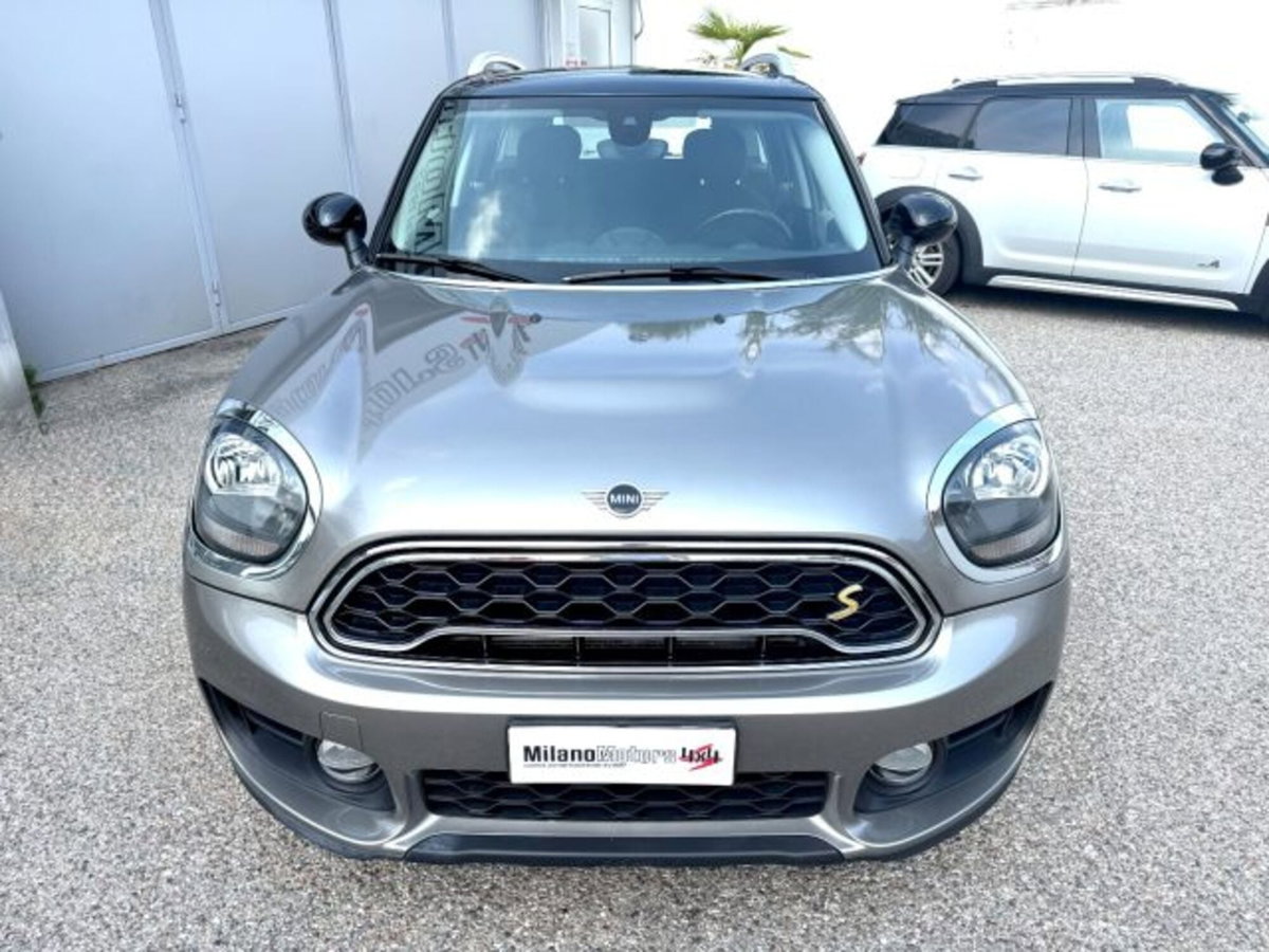 MINI Mini Countryman 1.5 Cooper Essential Countryman ALL4 (6)