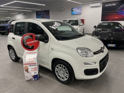Fiat Pandina van 1.0 Hybrid 65cv S&S Pop nuovo