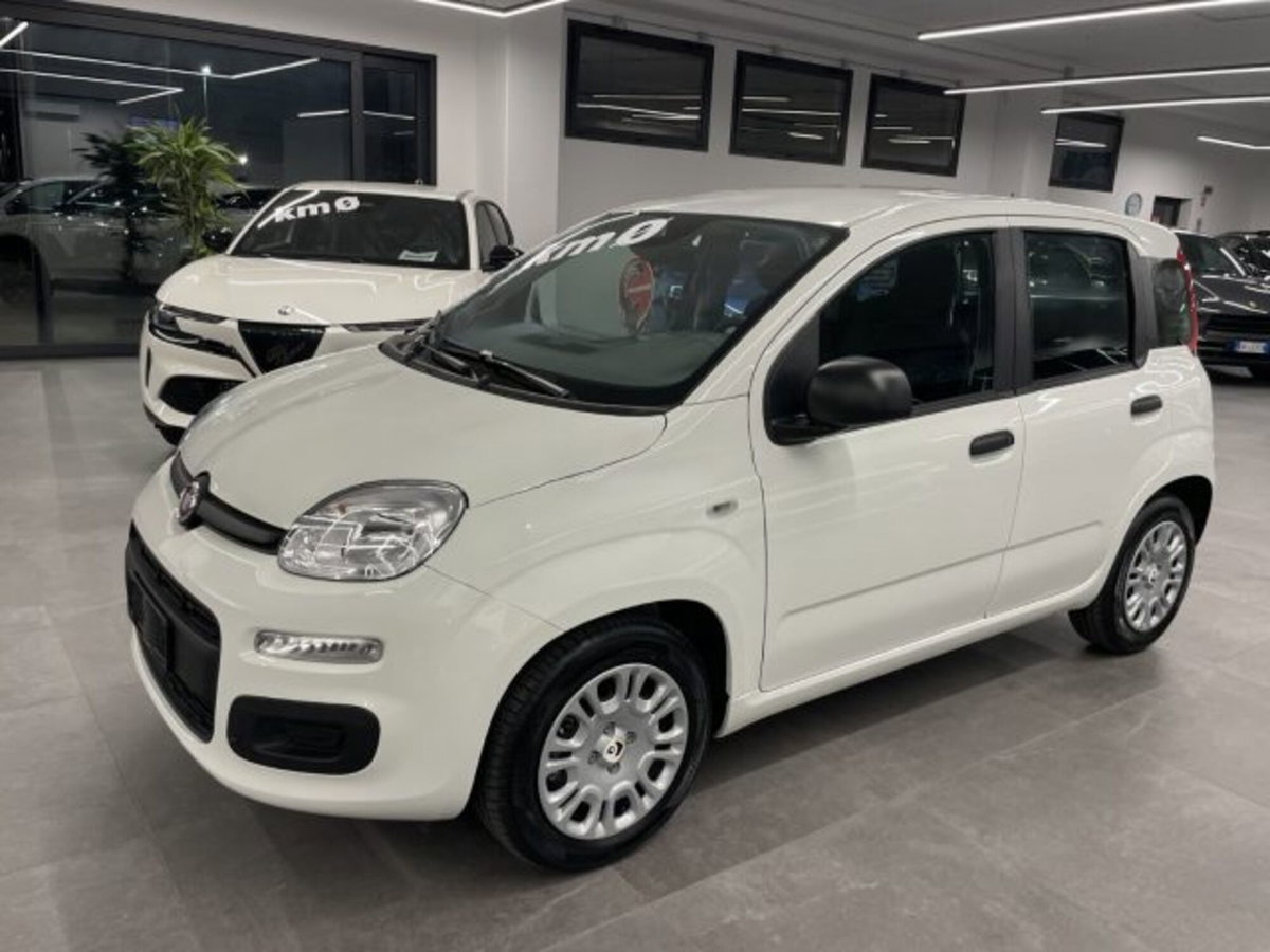 Fiat Pandina van 1.0 Hybrid 65cv S&S Pop (10)