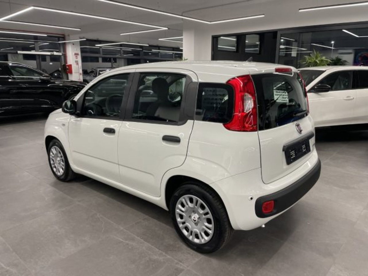 Fiat Pandina van 1.0 Hybrid 65cv S&S Pop (12)