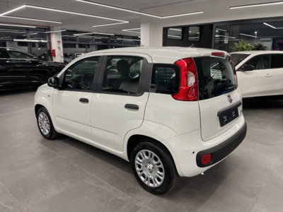 Fiat Pandina van 1.0 Hybrid 65cv S&S Pop (12)