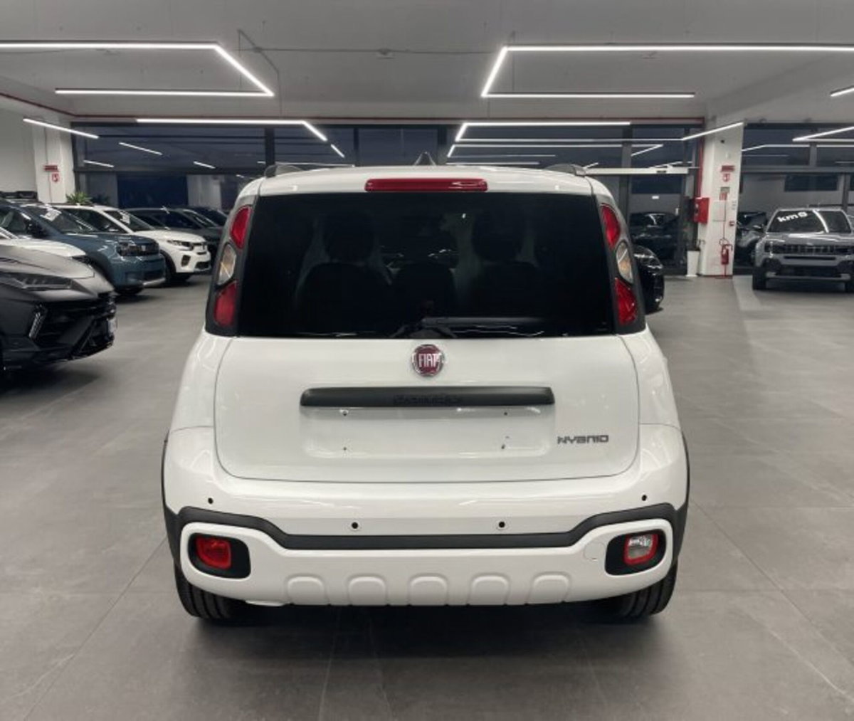 Fiat Pandina van 1.0 Hybrid 65cv S&S Pop (3)