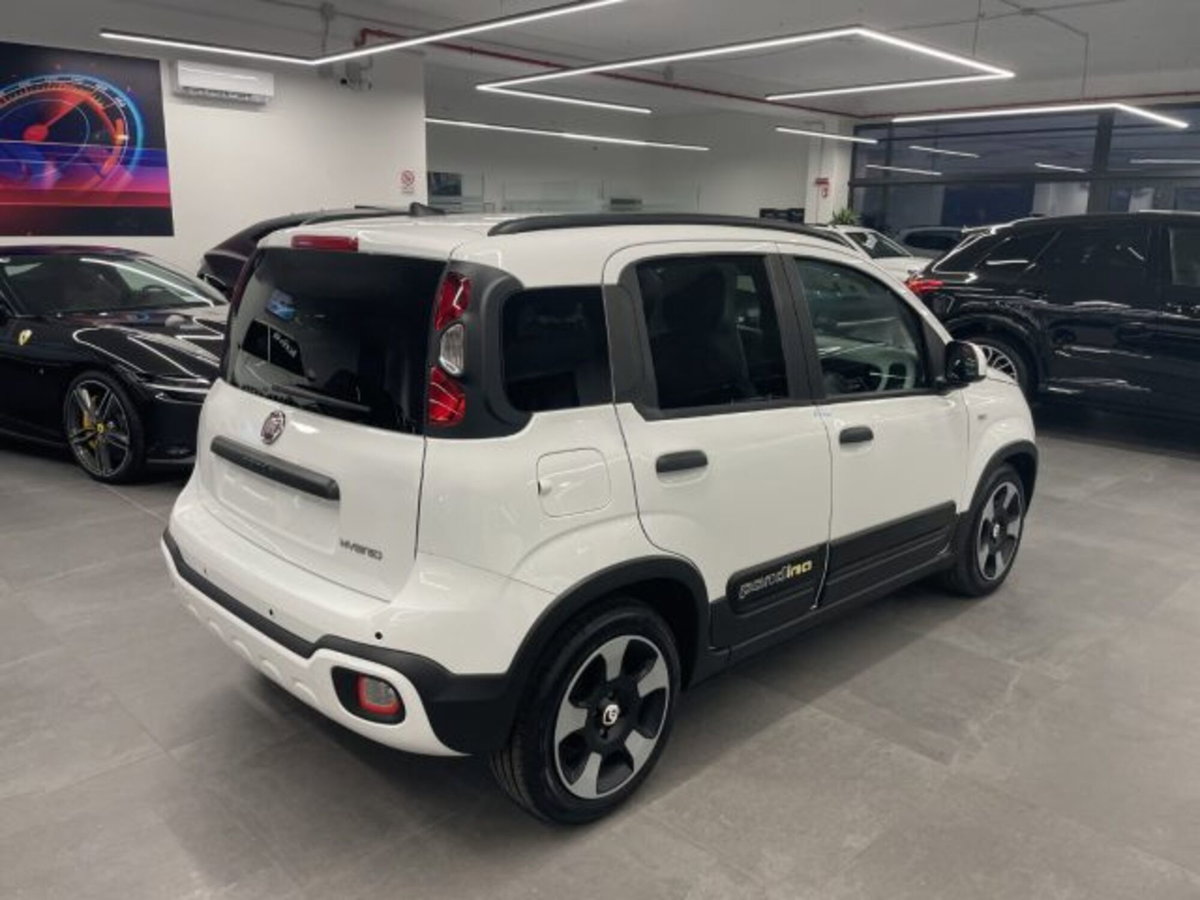 Fiat Pandina van 1.0 Hybrid 65cv S&S Pop (5)