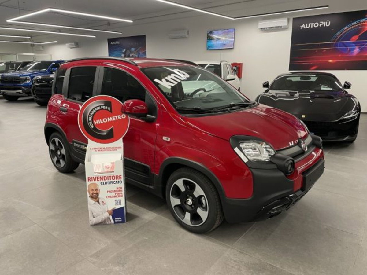 Fiat Pandina van 1.0 Hybrid 65cv S&S Pop