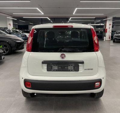 Fiat Pandina 1.0 firefly hybrid Pop s&s 65cv (4)