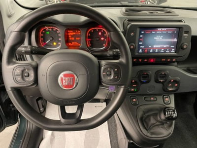 Fiat Panda Cross 1.0 firefly hybrid Cross s&s 70cv 5p.ti (5)