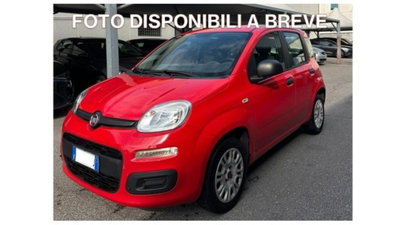 Fiat Panda 1.2 Easy usata