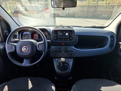 Fiat Panda 1.0 firefly hybrid s&s 70cv (6)