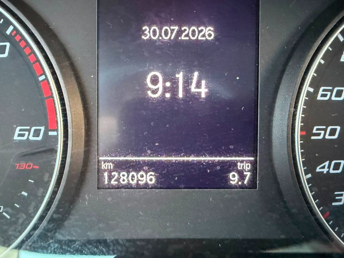 SEAT Ibiza 1.6 TDI 95 CV DSG 5 porte XCELLENCE (15)