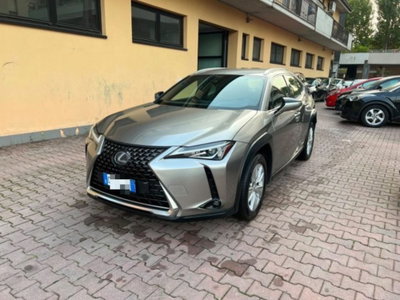 Lexus UX Hybrid Business usata