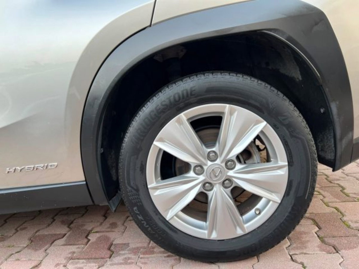 Lexus UX Hybrid Business (12)
