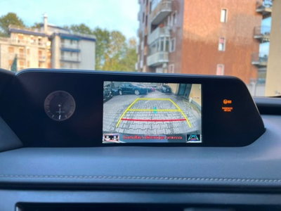 Lexus UX Hybrid Business (13)