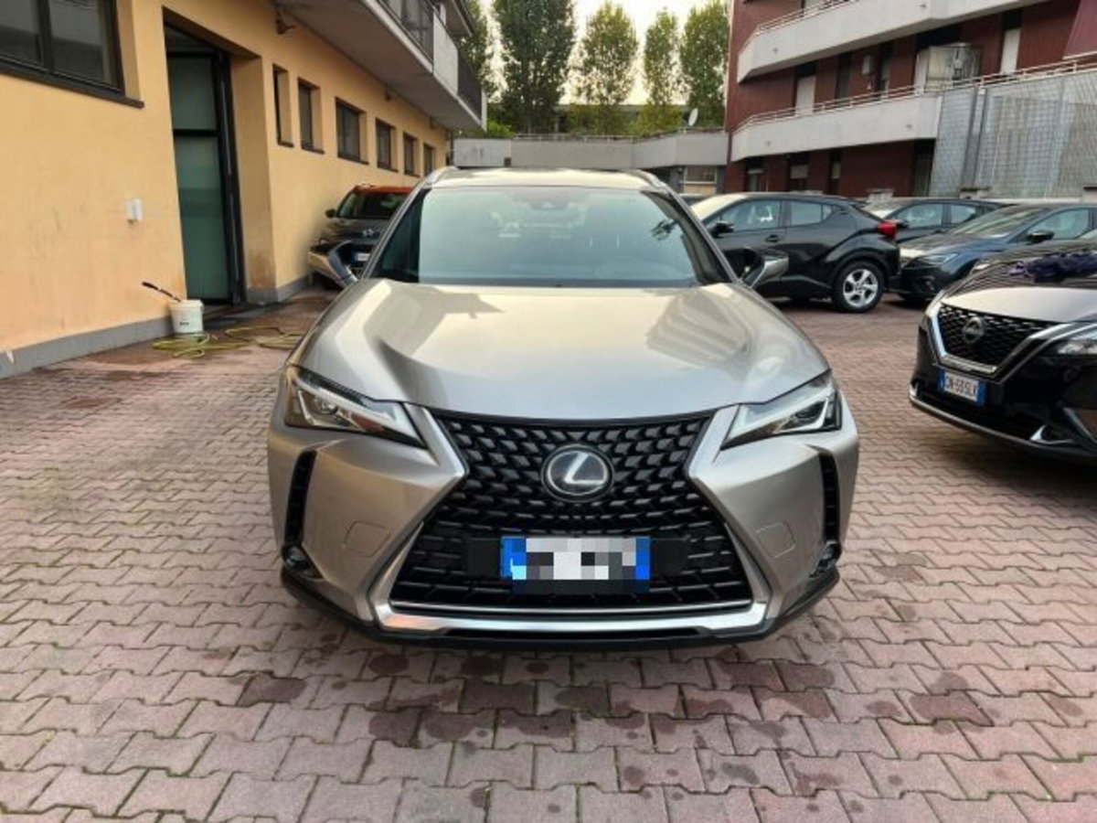 Lexus UX Hybrid Business (2)