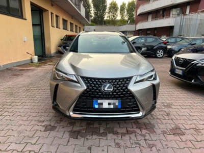 Lexus UX Hybrid Business (2)