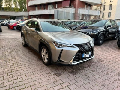 Lexus UX Hybrid Business (3)