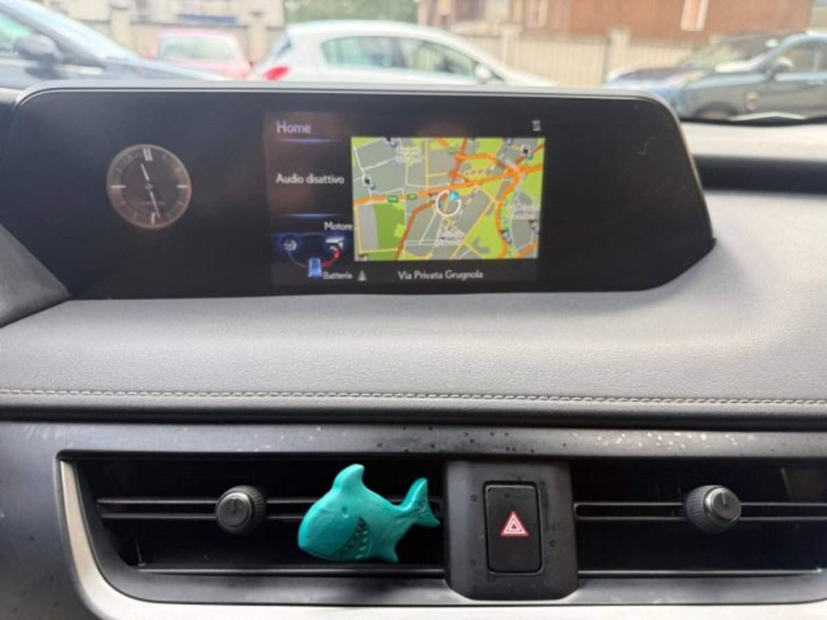 Lexus UX Full Electric Premium (7)