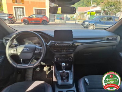 Ford Kuga 2.0 EcoBlue Hybrid 150 CV 2WD ST-Line (12)