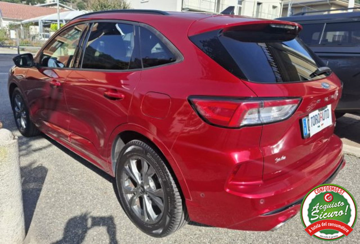 Ford Kuga 2.0 EcoBlue Hybrid 150 CV 2WD ST-Line (5)