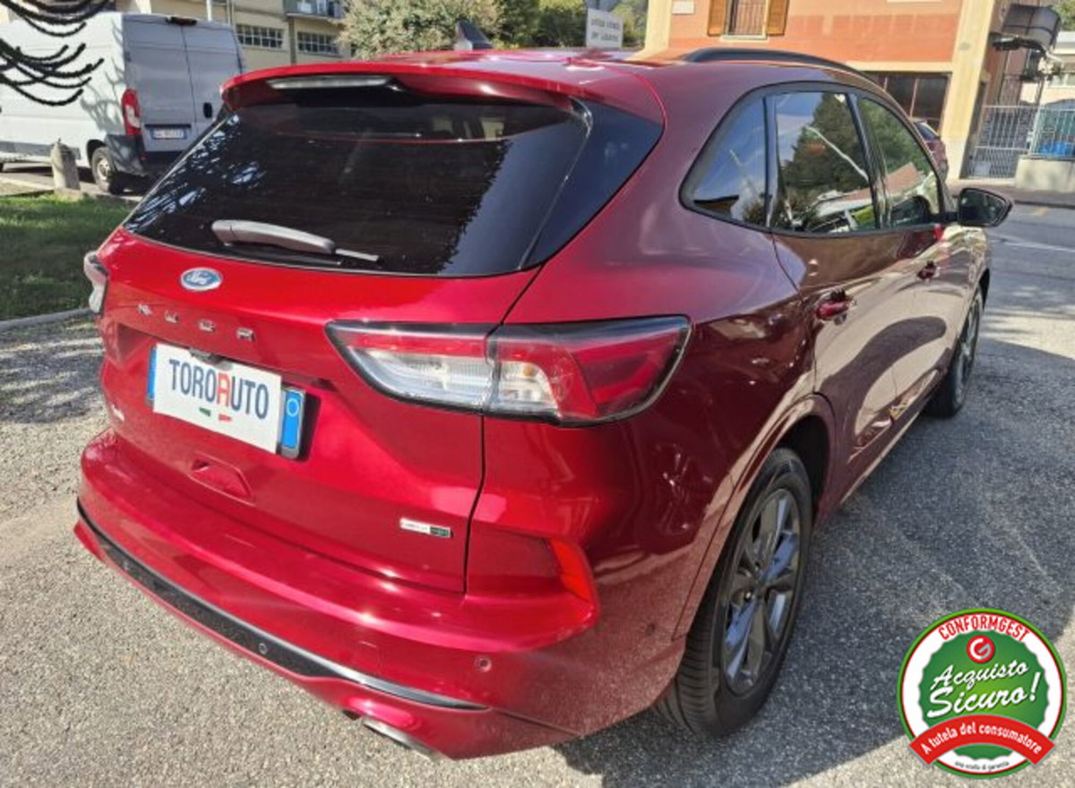 Ford Kuga 2.0 EcoBlue Hybrid 150 CV 2WD ST-Line (7)