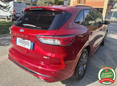 Ford Kuga 2.0 EcoBlue Hybrid 150 CV 2WD ST-Line (7)