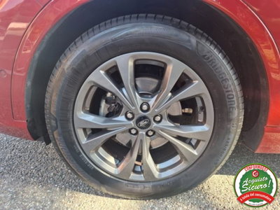 Ford Kuga 2.0 EcoBlue Hybrid 150 CV 2WD ST-Line (8)