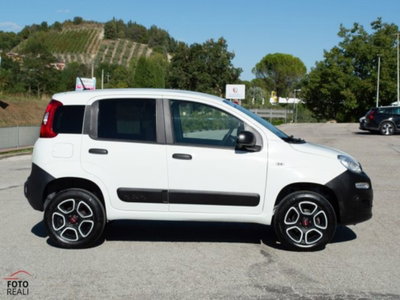 Fiat Panda 0.9 TwinAir Turbo S&S 4x4 Pop Van 2 posti (7)
