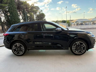 Audi Q5 40 2.0 tdi mhev 12V S line quattro s-tronic (4)