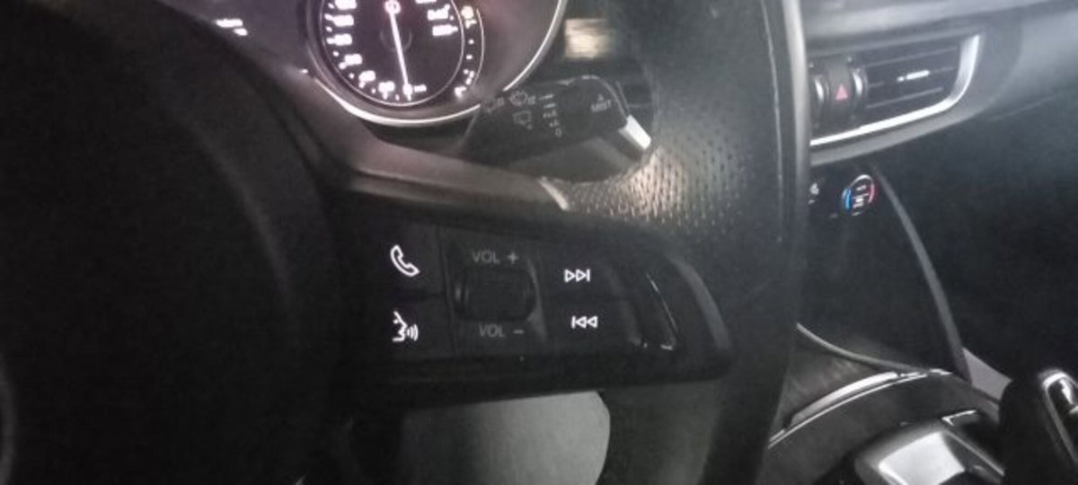 Alfa Romeo Stelvio Stelvio 2.2 Turbodiesel 190 CV AT8 Q4 Super Business (15)