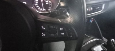 Alfa Romeo Stelvio Stelvio 2.2 Turbodiesel 190 CV AT8 Q4 Super Business (15)