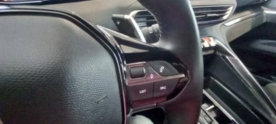 Peugeot 3008 BlueHDi 130 S&S EAT8 Active Pack (15)
