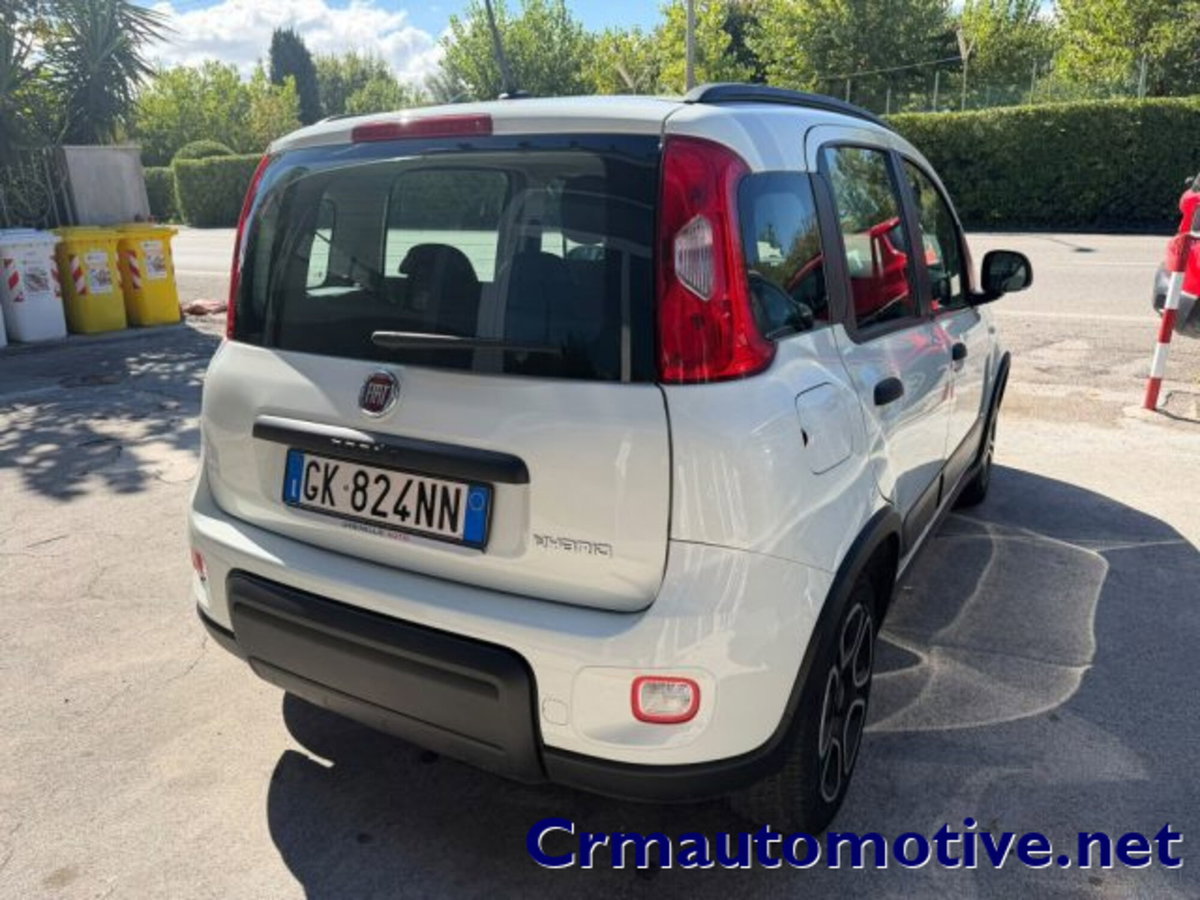 Fiat Panda 1.0 firefly hybrid s&s 70cv 5p.ti (4)
