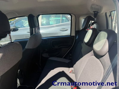 Fiat Panda 1.0 firefly hybrid s&s 70cv 5p.ti (6)