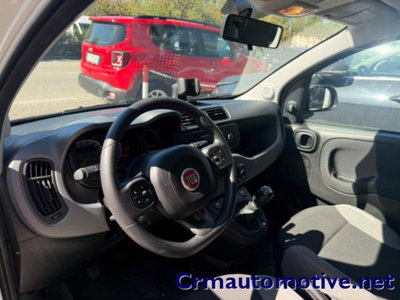 Fiat Panda 1.0 firefly hybrid s&s 70cv 5p.ti (7)