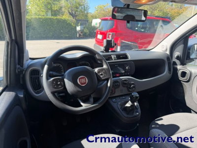 Fiat Panda 1.0 firefly hybrid s&s 70cv 5p.ti (8)