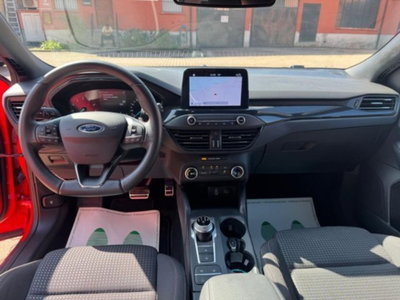 Ford Focus 1.0 EcoBoost 125 CV automatico 5p. ST-Line Co-Pilot (10)