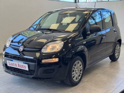 Fiat Panda 1.0 firefly hybrid s&s 70cv 5p.ti usata
