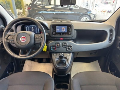 Fiat Panda 1.0 firefly hybrid s&s 70cv 5p.ti (11)