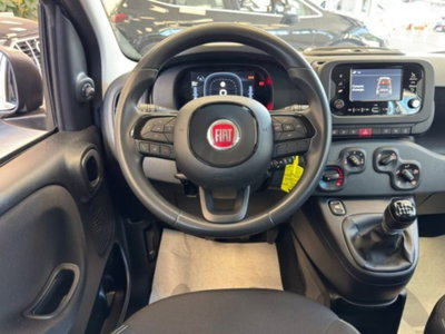 Fiat Panda 1.0 firefly hybrid s&s 70cv 5p.ti (12)